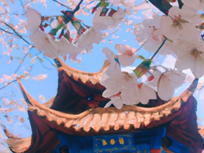 万和与樱花哪个质量好？