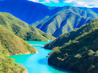 睡莲和荷花哪个好（睡莲和荷花哪个好养）