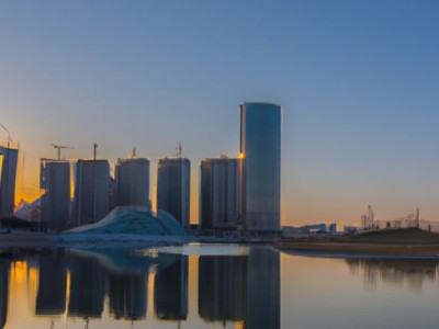 吊瓜子是什么果实的种子？