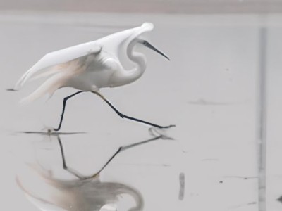 耐水腻子和普通腻子的区别及特点