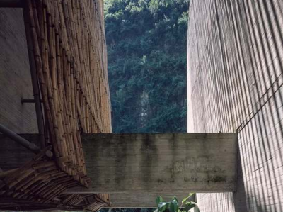 黄雪光（黄雪光仙人球）