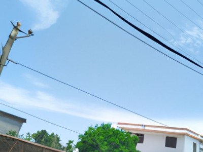 房屋出租怎么写？教你写出优秀的房屋出租广告模板