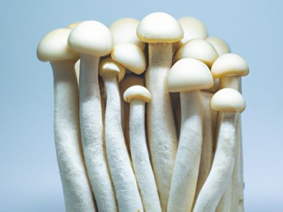 壁纸与家居色彩搭配技巧 来看看吧！