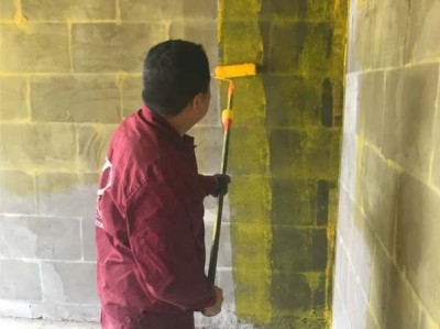 新房装修必须要刷墙固地固吗？（新房装修一定要刷墙固地固吗）