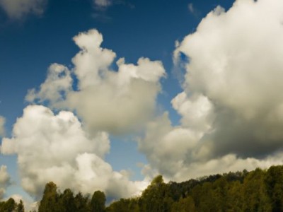 sunor及sunordinate的定义与特点