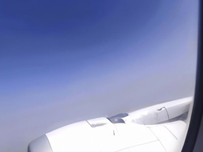 蟆叶秋海棠（蟆叶秋海棠怎样养护）