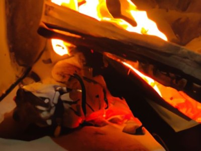 燃气和电磁炉哪个省及燃气和电磁炉哪个省钱？