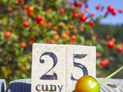 美容仪哪个牌子好（美容仪哪个牌子好用性价比高）