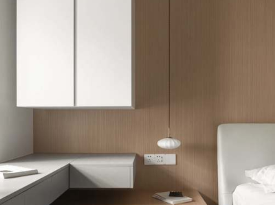 墙衣是什么，有什么？