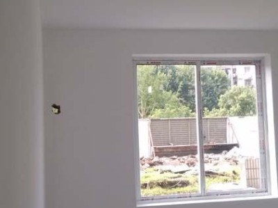 大球盖菇（大球盖菇怎么做好吃）