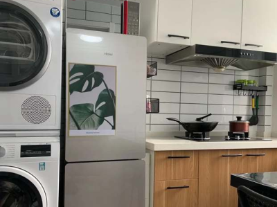 海尔冰箱哪个型号好（海尔冰箱哪个型号好推荐一下）