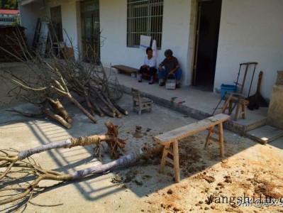 冬季涂刷涂料的注意事项