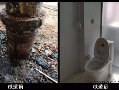 青凤凰（青凤凰多肉开花图片）