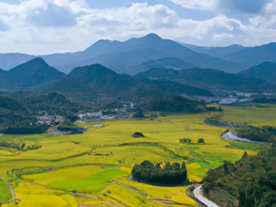 青山周平：日本知名演员、歌手和主持人