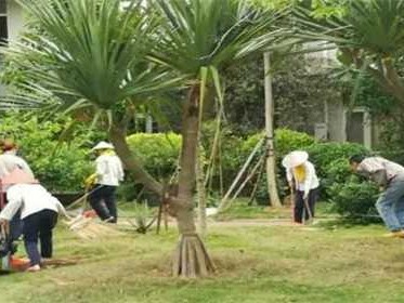 物业包括哪些服务项目