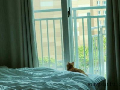 清水屋：一种特殊的居住方式