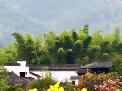 云锦世家属于哪个村？云锦世家属于哪个村委会？