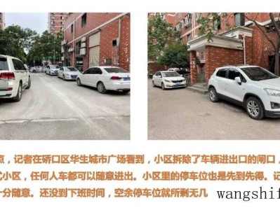 黑发晶功效（黑发晶功效与作用）