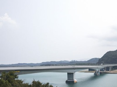 佛甲草（佛甲草图片）