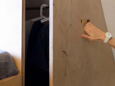 粉菠萝（粉菠萝多少钱）