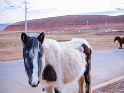 墙纸铺贴保障装修质量只需这四方面