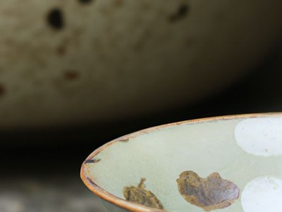 茶具的使用及茶具的使用方法和泡茶