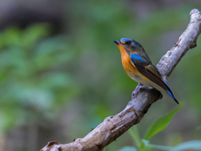 颈椎枕头及颈椎枕头正确枕法图片