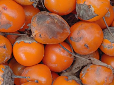 卫生间隔断材料及卫生间隔断材料种类