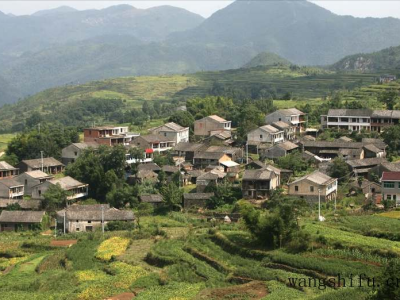 贝壳粉涂料缺点?贝壳粉涂料选购技巧?