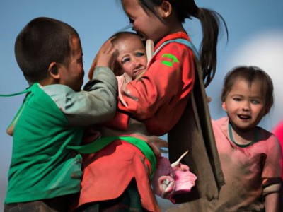 凉山泊和朗慕哪个好用？选择前需要了解这四个方面