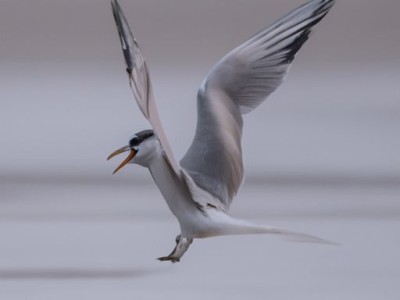 浴霸有辐射吗？孕妇可以用吗？