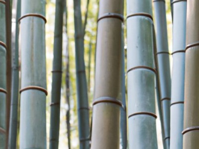 武汉买房落户要如何办理