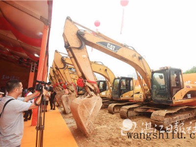 熊童子白锦（熊童子白锦图片）