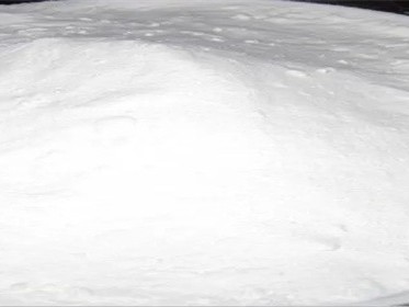 木板发霉变黑怎么处理