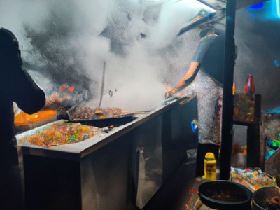 桃树枝哪个方向的辟邪（桃树枝哪个方向的可以辟邪）