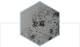 西安旧房翻新墙面发霉处理