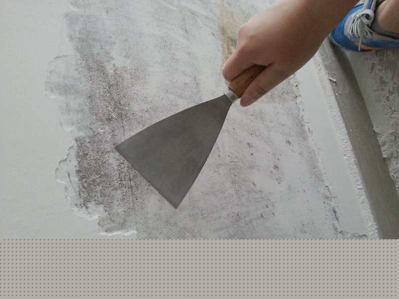 莫代尔和纯棉哪个好(莫代尔和纯棉哪个好?有什么区别?) 莫代尔和纯棉哪个好(莫代尔和纯棉哪个好?有什么区别?)