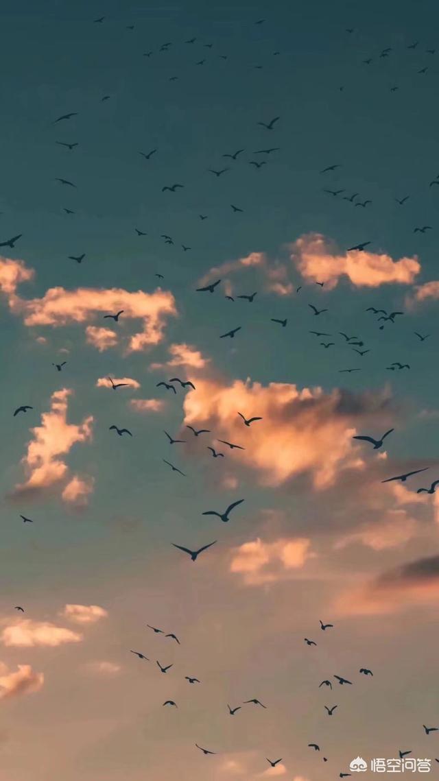 谁有好看的屏保壁纸？