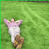 有没有好看的壁纸? 有没有好看的壁纸?