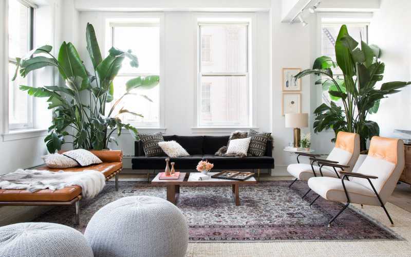 墙漆的味道大，与墙面翻新技术和步骤有关系吗？