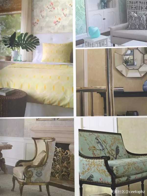 沃莱菲认为:这些壁纸壁布的谣言不可信