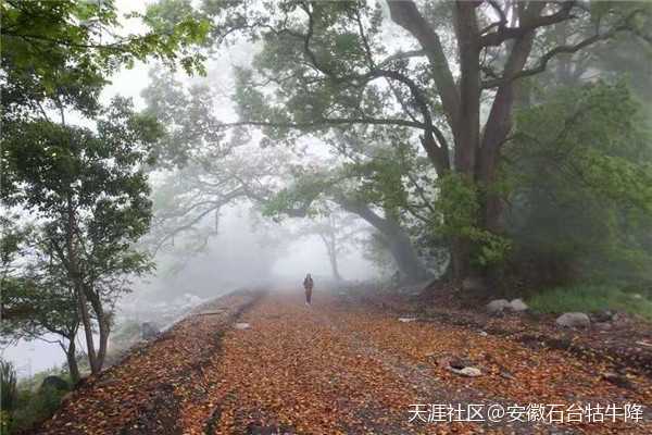 九月，送你一波超美壁纸