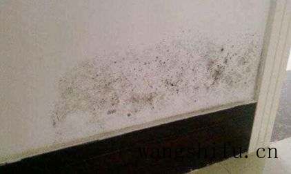 白墙脏了怎么办？这些妙招来应对