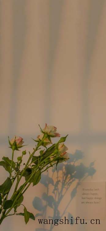 你们一般都在哪里找壁纸？ 墙面贴壁纸 第2张 你们一般都在哪里找壁纸？ 墙面贴壁纸 粉刷匠第2张