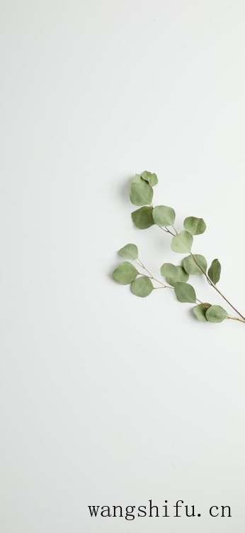 你们一般都在哪里找壁纸？ 墙面贴壁纸 第3张 你们一般都在哪里找壁纸？ 墙面贴壁纸 粉刷匠第3张