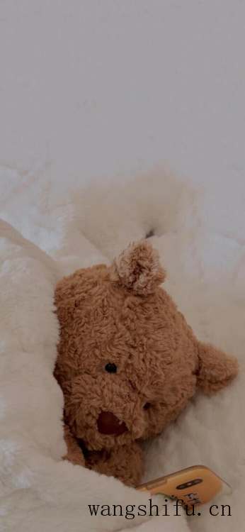 你们一般都在哪里找壁纸？ 墙面贴壁纸 第11张 你们一般都在哪里找壁纸？ 墙面贴壁纸 粉刷匠第11张