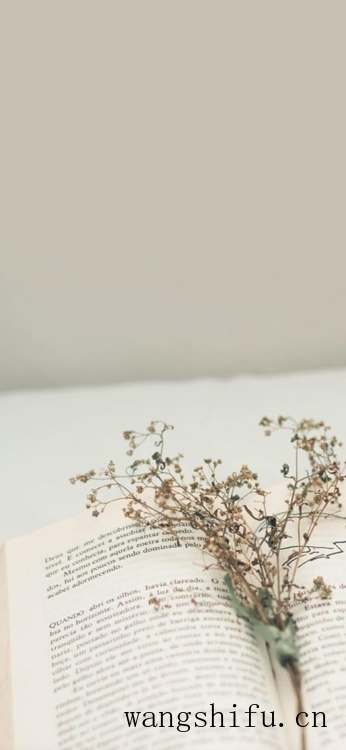 你们一般都在哪里找壁纸？ 墙面贴壁纸 第20张 你们一般都在哪里找壁纸？ 墙面贴壁纸 粉刷匠第20张