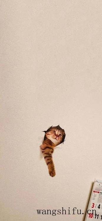 你们一般都在哪里找壁纸？ 墙面贴壁纸 第30张 你们一般都在哪里找壁纸？ 墙面贴壁纸 粉刷匠第30张