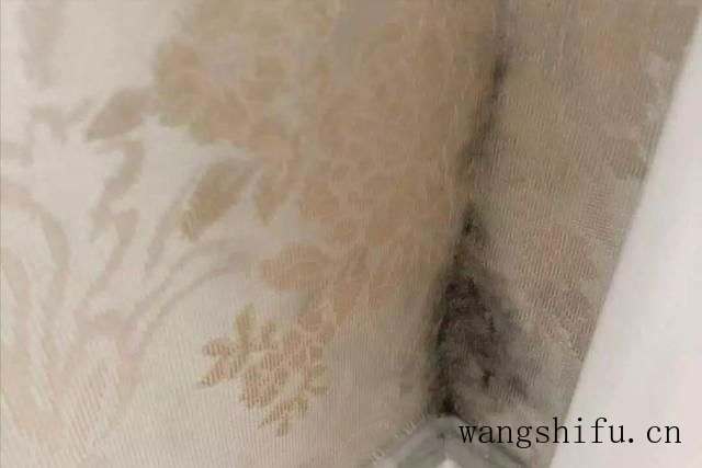 为什么壁布一擦一块印？脏了该如何正确的清洁？经验分享 墙面贴壁纸 第8张 为什么壁布一擦一块印？脏了该如何正确的清洁？经验分享 墙面贴壁纸 粉刷匠第8张