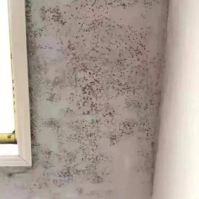 旧房墙面翻新上,业主们常见的几大误区 旧房墙面翻新上,业主们常见的几大误区